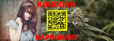 прущие грибы Славгород