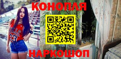 прущие грибы Славгород