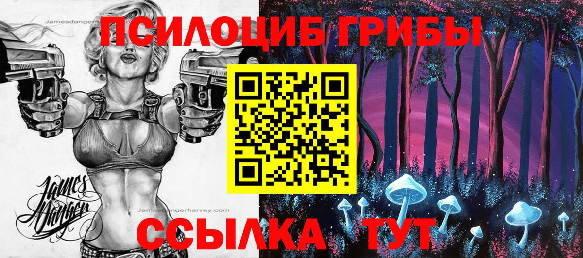 Новоалександровск  Галлюциногенные грибы GOLDEN TEACHER  Вход с VPN 
